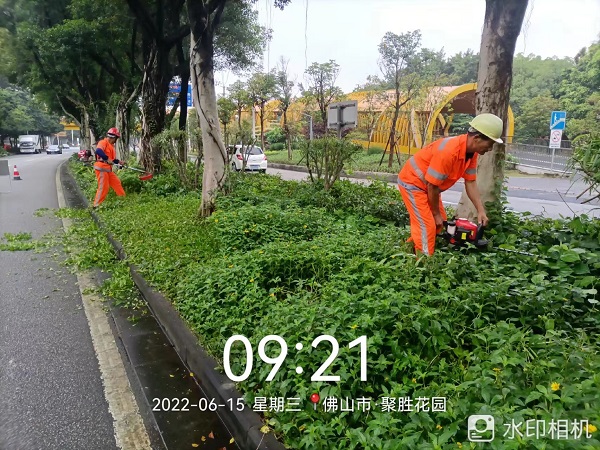 项目动态 | 打造美丽凤城，筑文明城市生态