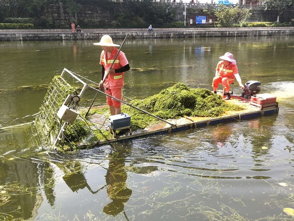 河道绿植管理养护的服务范围